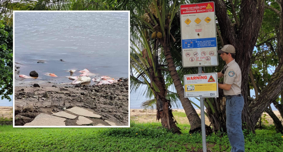 An inset shows discarded fish frames at the Maria Creek boat ramp at Kurrimine Beach. The main pic shows a wildlife officer installing a crocodile warning sign at the site. 