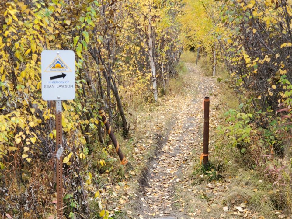 Fall colors are displayed on Sept. 18, 2022, along a secotion of Equinox Marathon trail in Fairbanks that leads uphill on Ester Dome. The Equinox trails would be incorporated into the Alaska Long Trail, under the project plan. (Photo by Yereth Rosen/Alaska Beacon)