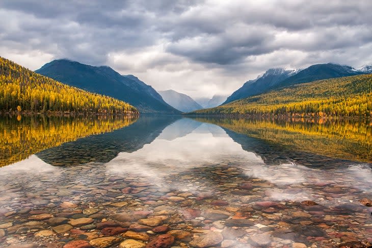 Clarity - Bowman Lake, Glacier National Park