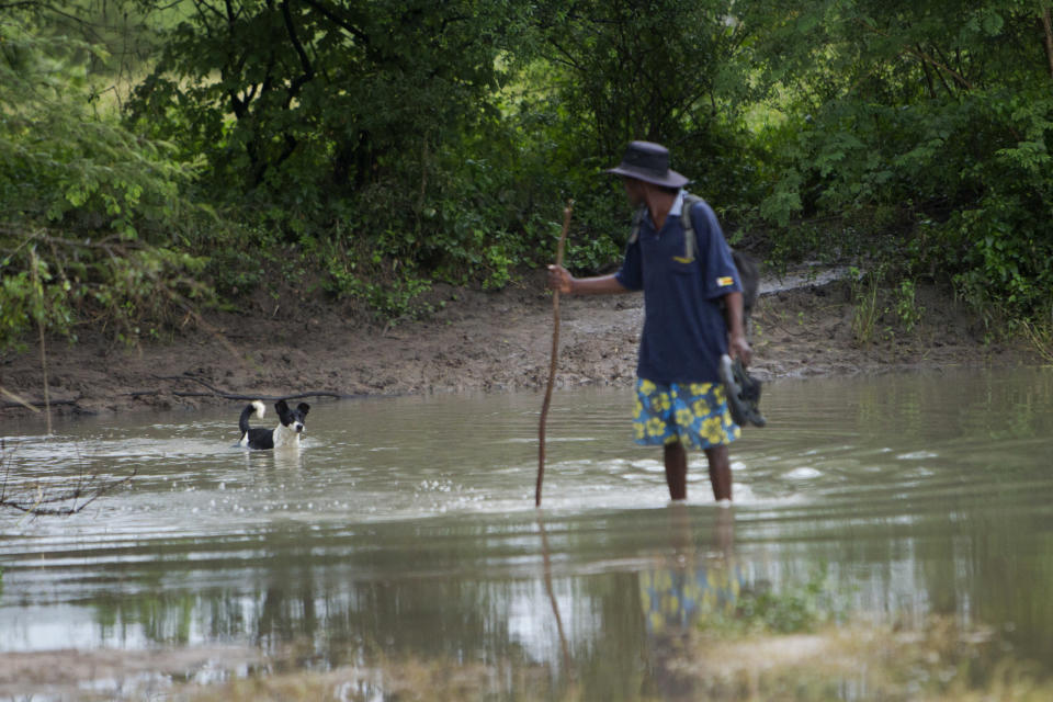 A man stops to check on his dog while crossing a flooded road in Tsholostho about 200 kilometres north of Bulawayo, Saturday, March 4, 2017. Zimbabwe says floods have killed over 200 people and left close to 2,000 homeless since December. The Southern African country has appealed to International donors for $100 million to help those affected by floods. (AP Photo/ Tsvangirayi Mukwazhi)
