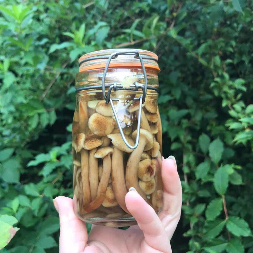 Emily makes pickled honey mushrooms with her finds (Collect/PA Real Life).