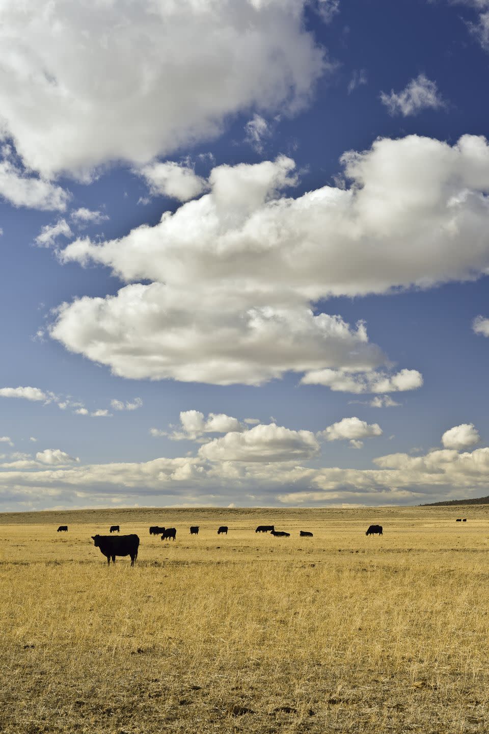 Lost Springs, Wyoming