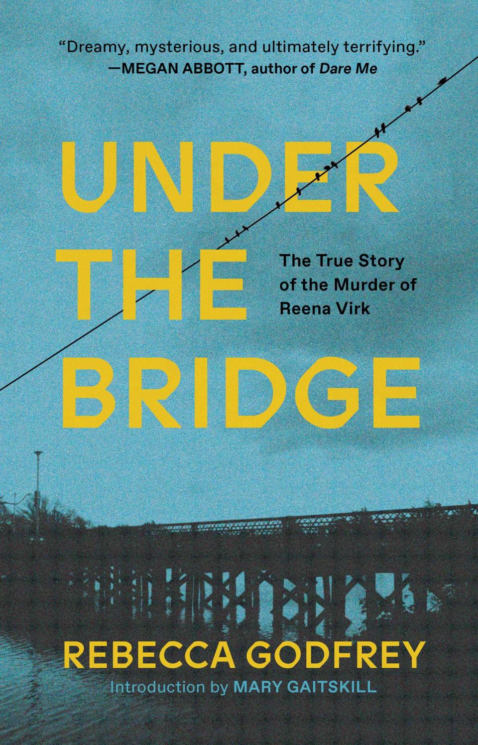 under the bridge rebecca godfrey hulu