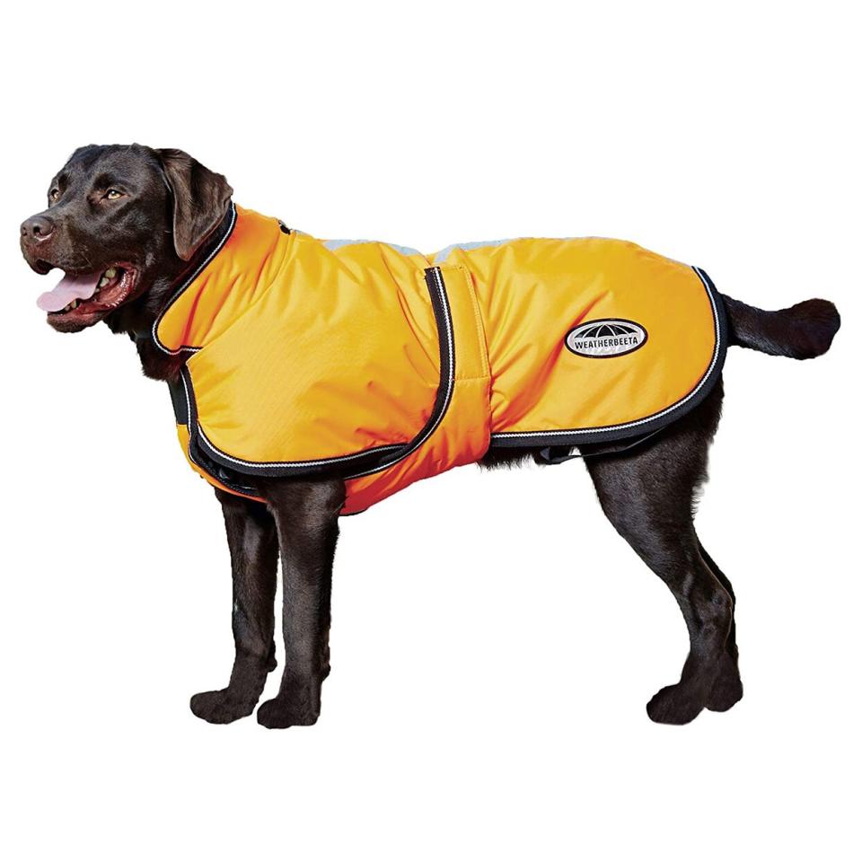 WeatherBeeta Comfitec Reflective Parka 300D Deluxe Dog Coat