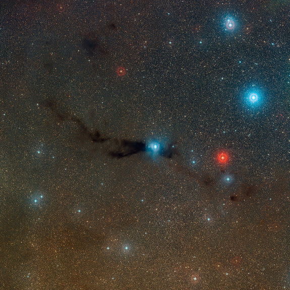 This wide-field view shows a dark cloud where new stars are forming along with cluster of brilliant stars that have already burst out of their dusty stellar nursery. This cloud is known as Lupus 3 and it lies about 600 light-years from Earth in