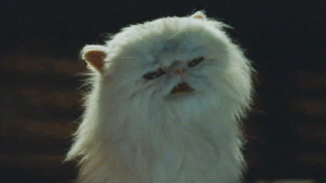 <p> <strong>The Cat:</strong> The sneeringly sinister villain of this CGI caper, Mr Tinkles has a devious plan to overthrow the canine population, by making all humans allergic to dogs. The cunning devil </p> <p> <strong>If It Was A Dog:</strong> When did you ever hear of a dog trying to conquer the world? Hed be happy with a bone and a blanket, like the rest of them. </p>
