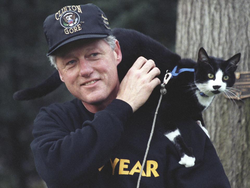 Expresidente Bill Clinton con su gato 'Socks'  (Foto via Smith Collection/Gado/Getty Images).