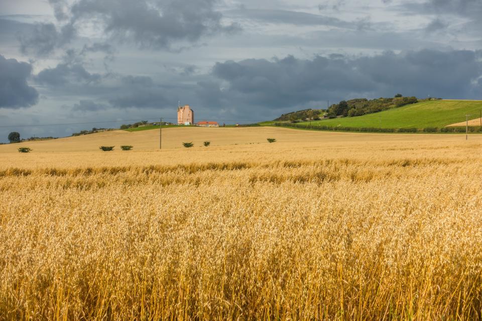 fenton tower grounds