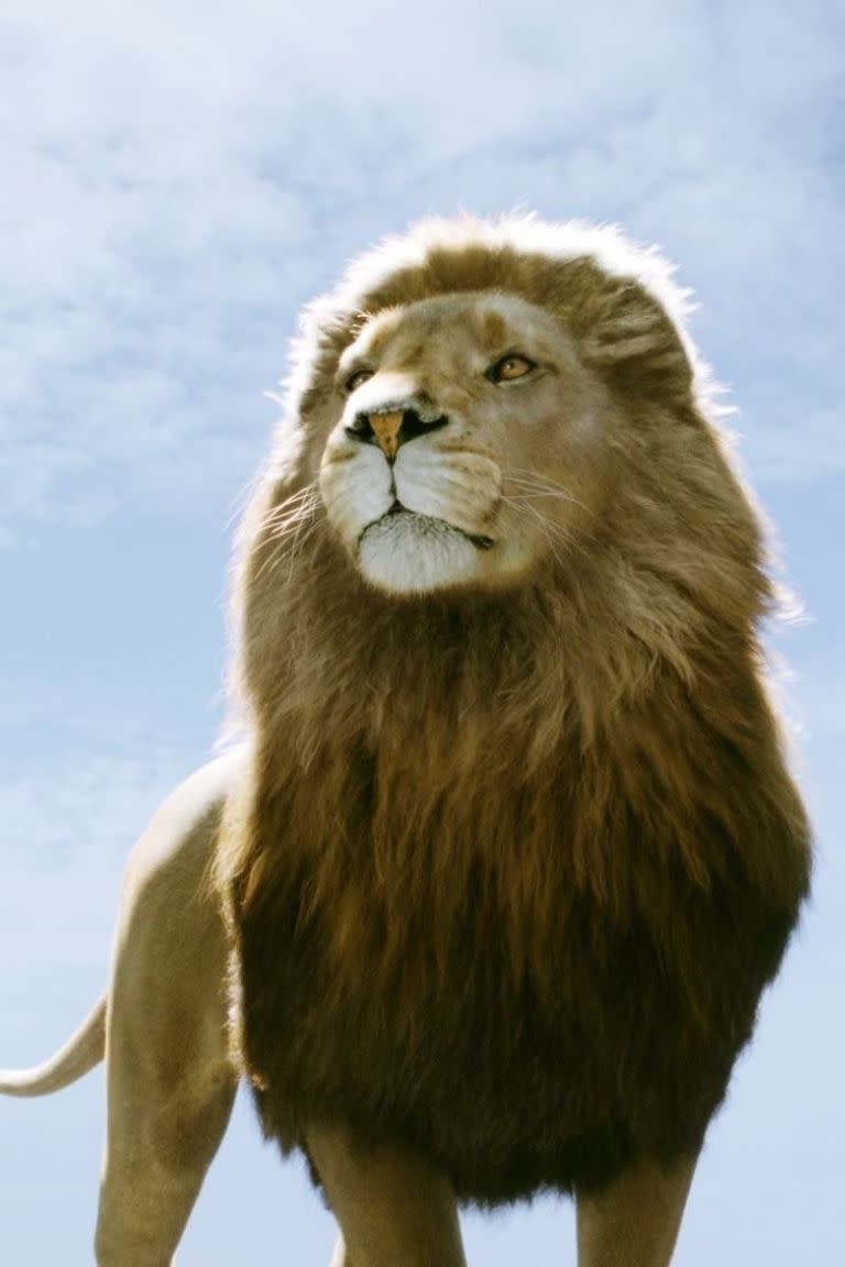 34. Chronicles of Narnia