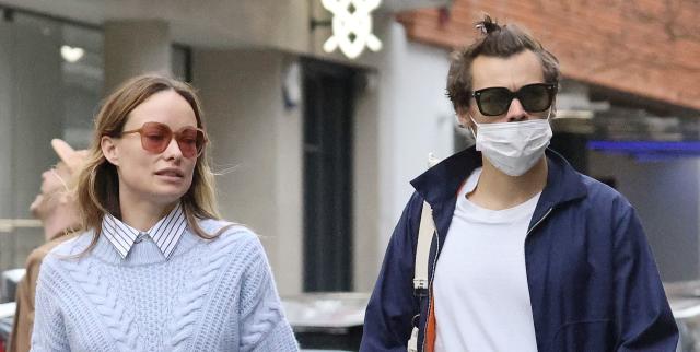 Harry Styles & Olivia Wilde: Photos Of The Couple Who Reportedly