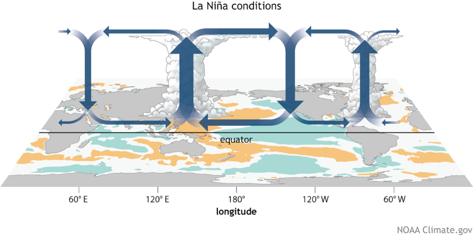 A map showing loops, with rising air over the Atlantic and Indonesia.