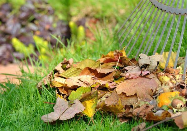 En automne, 12 gestes pour préparer son jardin pour le printemps - Elle  Décoration