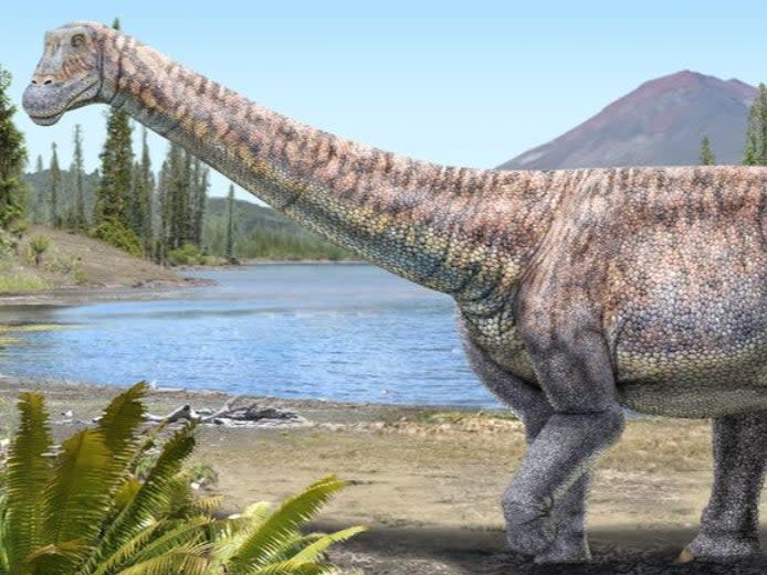 An artist’s impression of the plant-eating dinosaur whose remains scientists have discovered in the Atacama desert in Chile (Reuters)