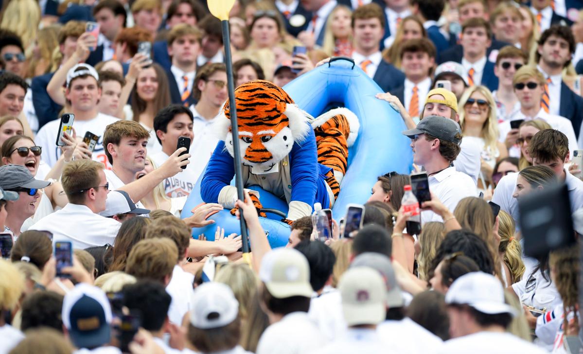 Aaron Rodgers forced to wear Auburn jersey after Cal loss to Tigers