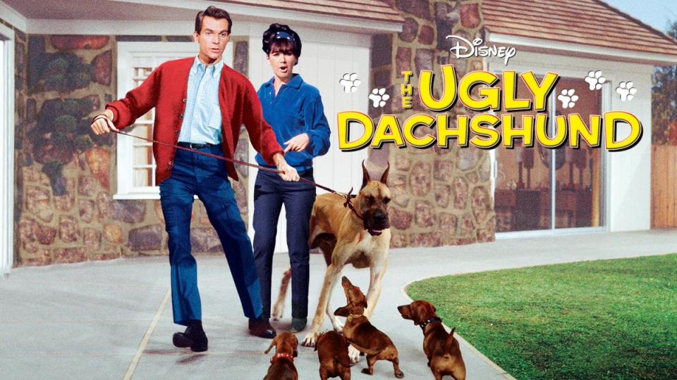 The Ugly Dachshund starring Dean Jones and Suzanne Pleshette. (Photo: Disney+)