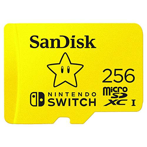 SanDisk 256GB microSDXC Card (Amazon / Amazon)