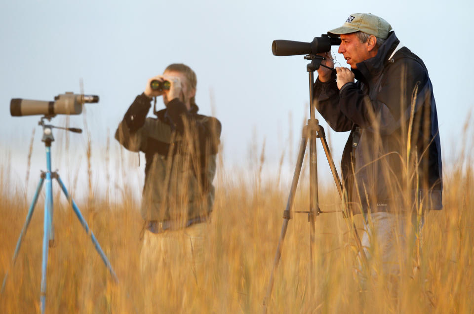 FILE - In this Dec. 22, 2010, file photo, Chris Brantley, right, of Mandiville, La., and Hans Holbrook, of LaPlace, La., look though monoculars for birds during the National Audubon Society's annual Christmas bird count on the Gulf Coast in Grand Isle, La. It's been 120 years since New York ornithologist Frank Chapman launched his Christmas Bird Count as a bold new alternative to what had been a longtime Christmas tradition of hunting birds. And the annual count continues, stronger and more important than ever. (AP Photo/Sean Gardner, File)
