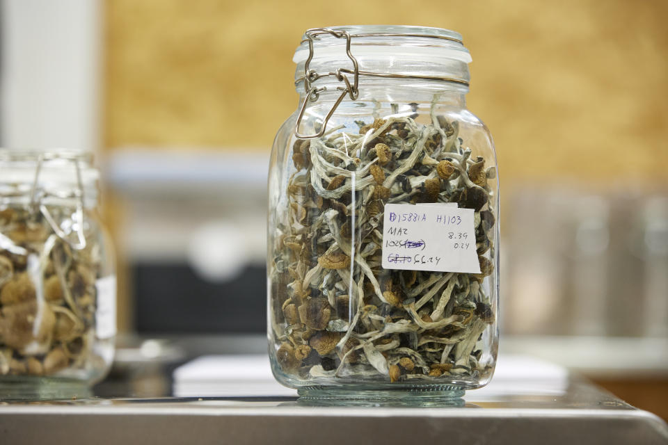 Psilocybin mushrooms that are ready for distribution are shown at Uptown Fungus lab in Springfield, Ore., Monday, Aug. 14, 2023. (AP Photo/Craig Mitchelldyer)