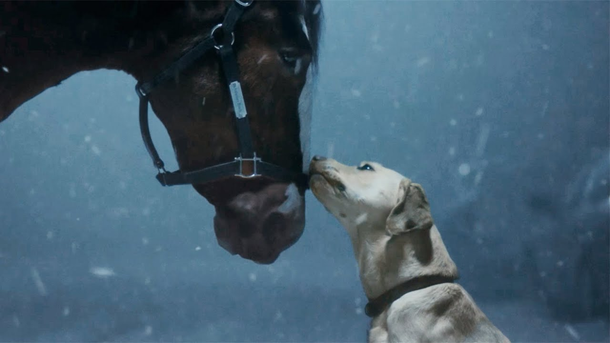  A dog nuzzles a horse in the snow in a Budweiser commercial set to premiere during this years Super Bowl 2024. . 