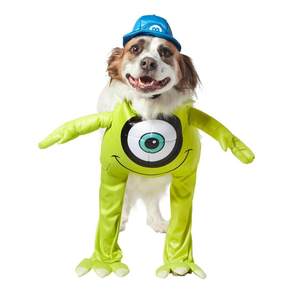 Dog wearing a Rubie’s Costume Company Monster’s Inc Mike Costume on a white background