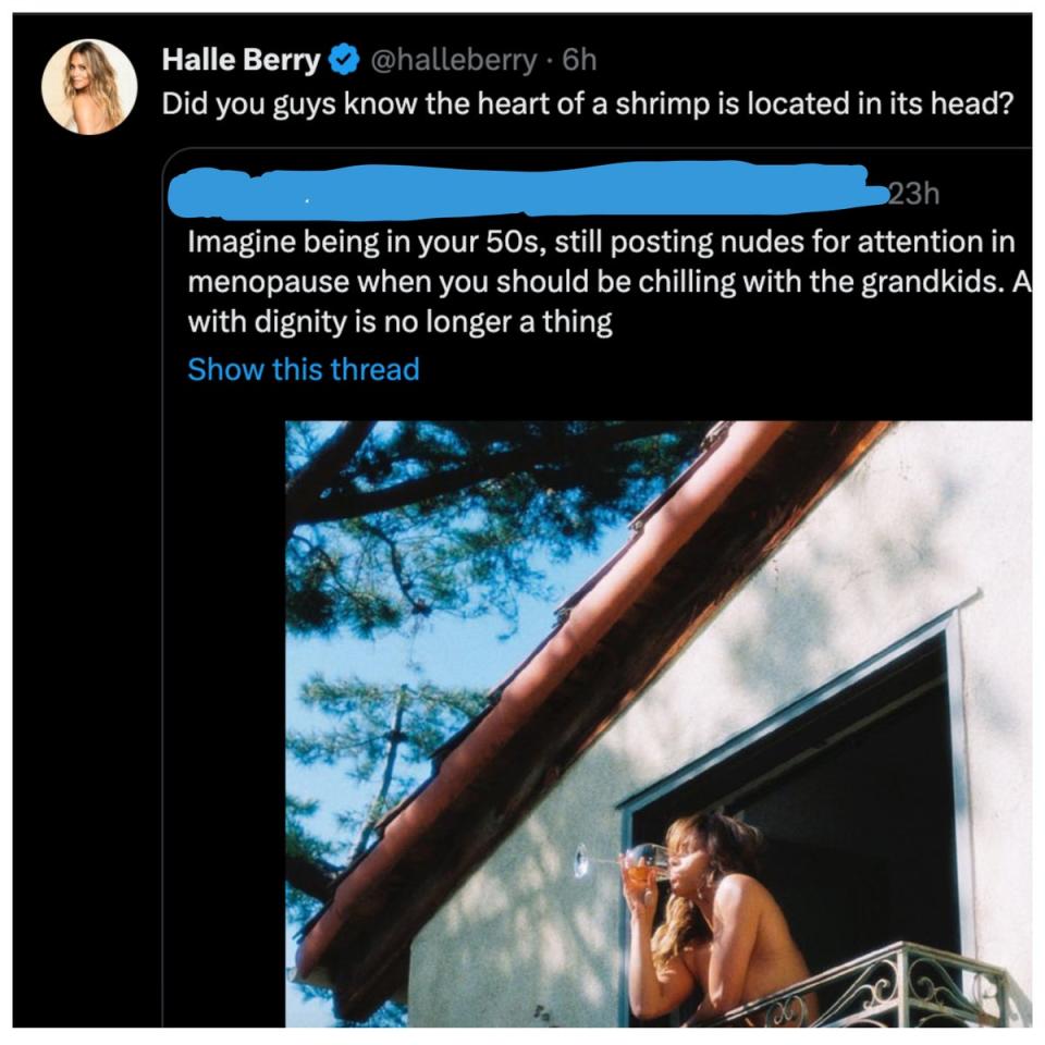 Halle Berry shut down a troll on social media (Twitter)