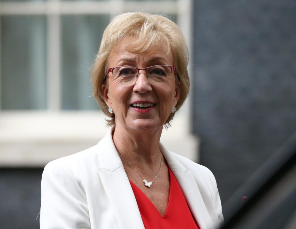 Dame Andrea Leadsom has defended the costly Brexit border checks amid backlash from businesses and suppliers (PA Archive)