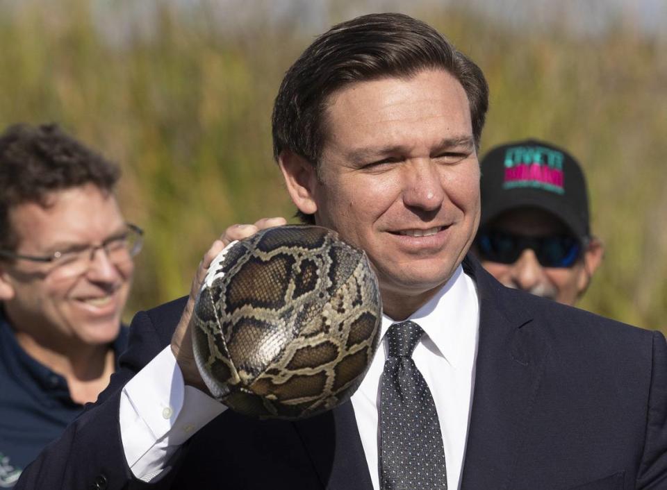 Florida Gov. Ron DeSantis holds a python skin football given to him by Rodney Barreto, chairman of the Miami Super Bowl Host Committee, as they promote the Florida Python Challenge 2020 Python Bowl on Thursday, Dec. 5, 2019.