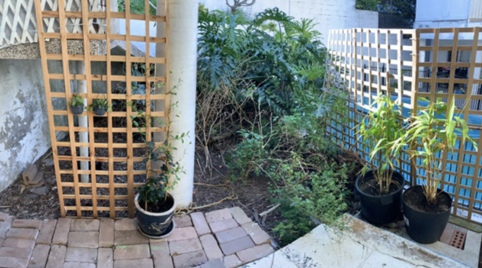 The Sydney rental studio's deck area overlooking a fenced off pool in Rose Bay. 