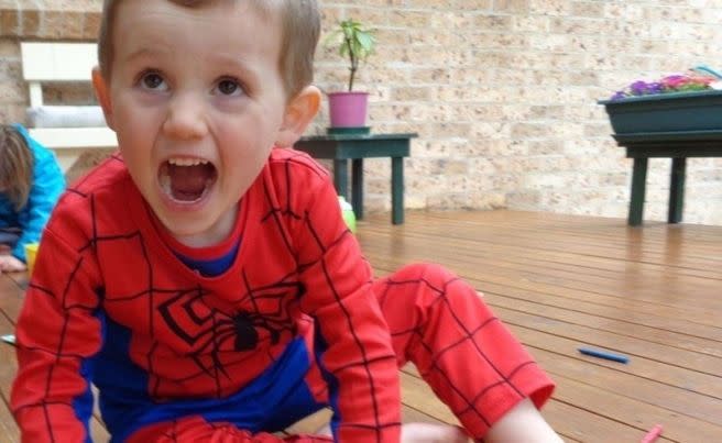 The grandmother of missing New South Wales toddler William Tyrrell says she no longer thinks he is alive. Photo: Facebook