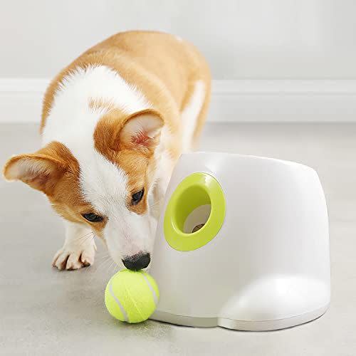 18) Dog Ball Launcher