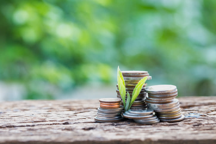 A plant growing in between stacks of coins.