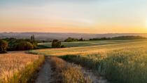 <p>Nach Angaben des Deutschen Wetterdienstes liegt die Eintrittswahrscheinlichkeit der Siebenschläfer-Regel bei rund 60 Prozent. Meist stellt sich zu dieser Zeit eine besondere Großwetterlage ein und gibt den Witterungscharakter der folgenden Wochen vor. Dabei konnte außerdem nachgewiesen werden, dass die komplette erste Juliwoche das Wetter für den Sommer andeutet, nicht nur der eine Tag. (Bild: iStock / Kinek00)</p> 