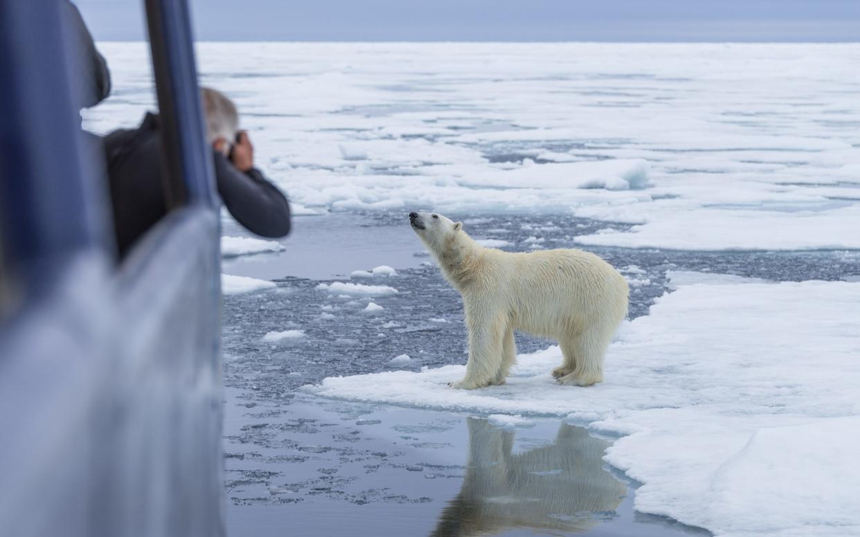 Tourists visit the Arctic archipelago of Svalbard to see polar bears  - www.shannonwild.com