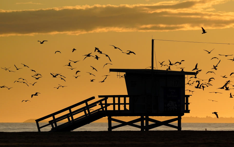 Seagulls fly around an empty lifeguard station on Santa Monica State Beach, Friday, April 10, 2020, in Santa Monica, Calif. (AP Photo/Mark J. Terrill)