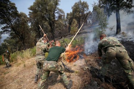 Soldiers help to put out a forest fire in the village of Capelo, near Gois. REUTERS/Rafael Marchante