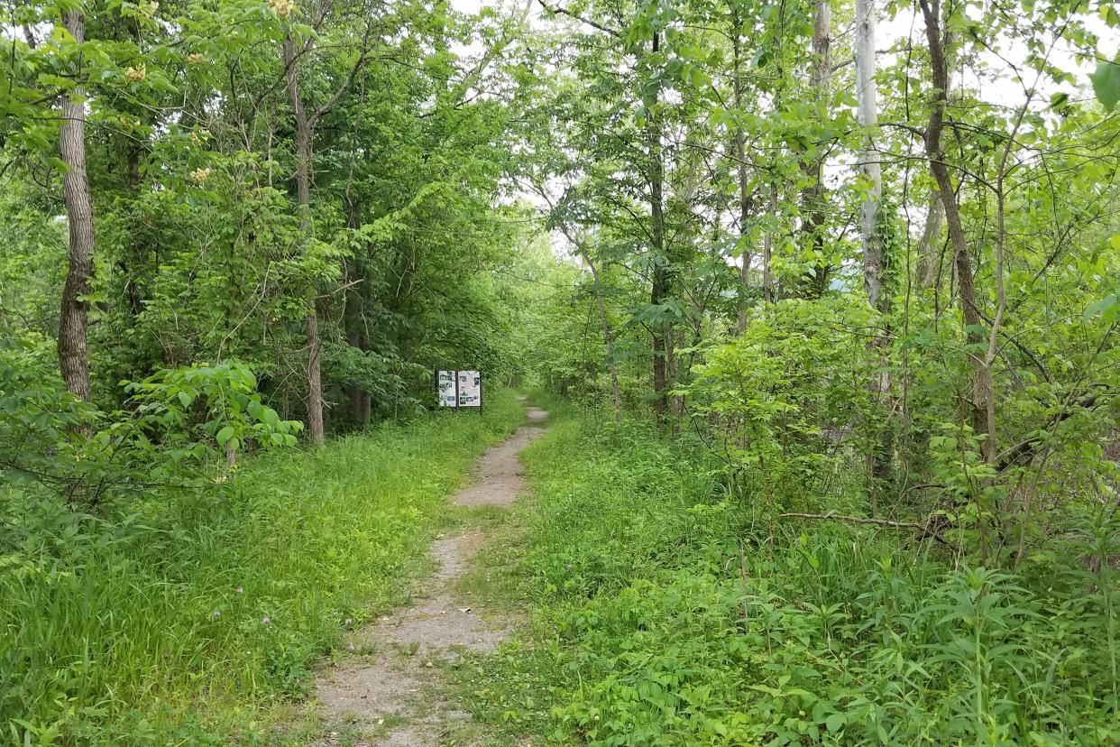 Wayne National Forest in Ohio