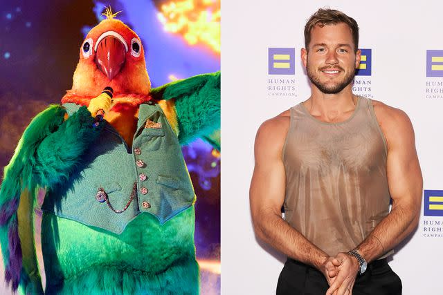 <p>Michael Becker / FOX; Kevin Winter/Getty Images for Human Rights Campaign</p> Lovebird on The Masked Singer and Colton Underwood