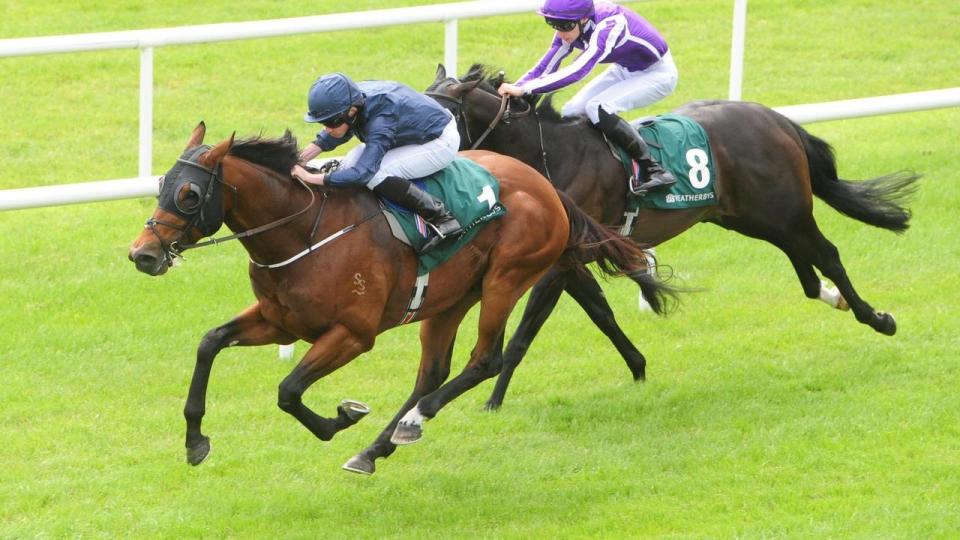 Australian Group One winner Merchant Navy won the Greenlands Stakes at the Curragh in his first European race