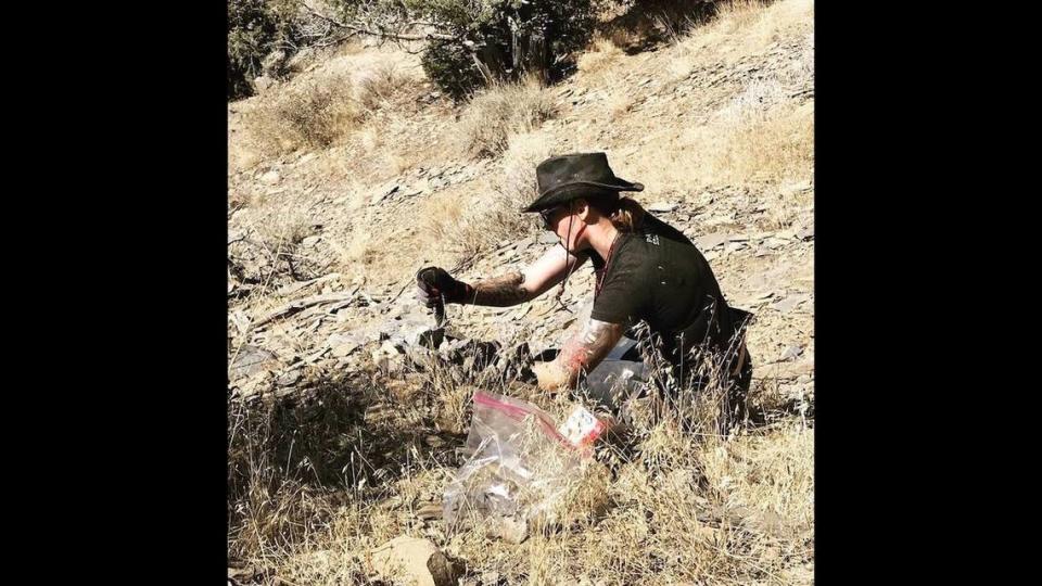 Rhiannon LaVine collecting fossils from one of the Spence Shale outcrops in northern Utah.