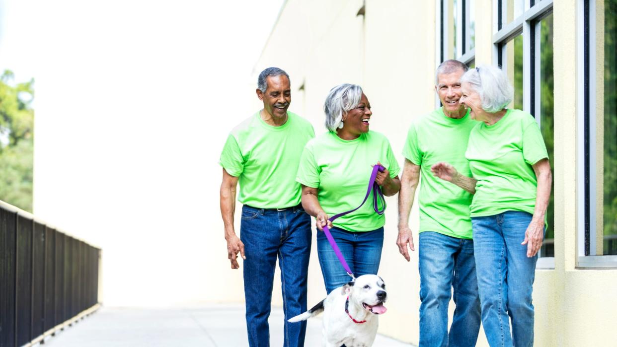 People walking with animal charity