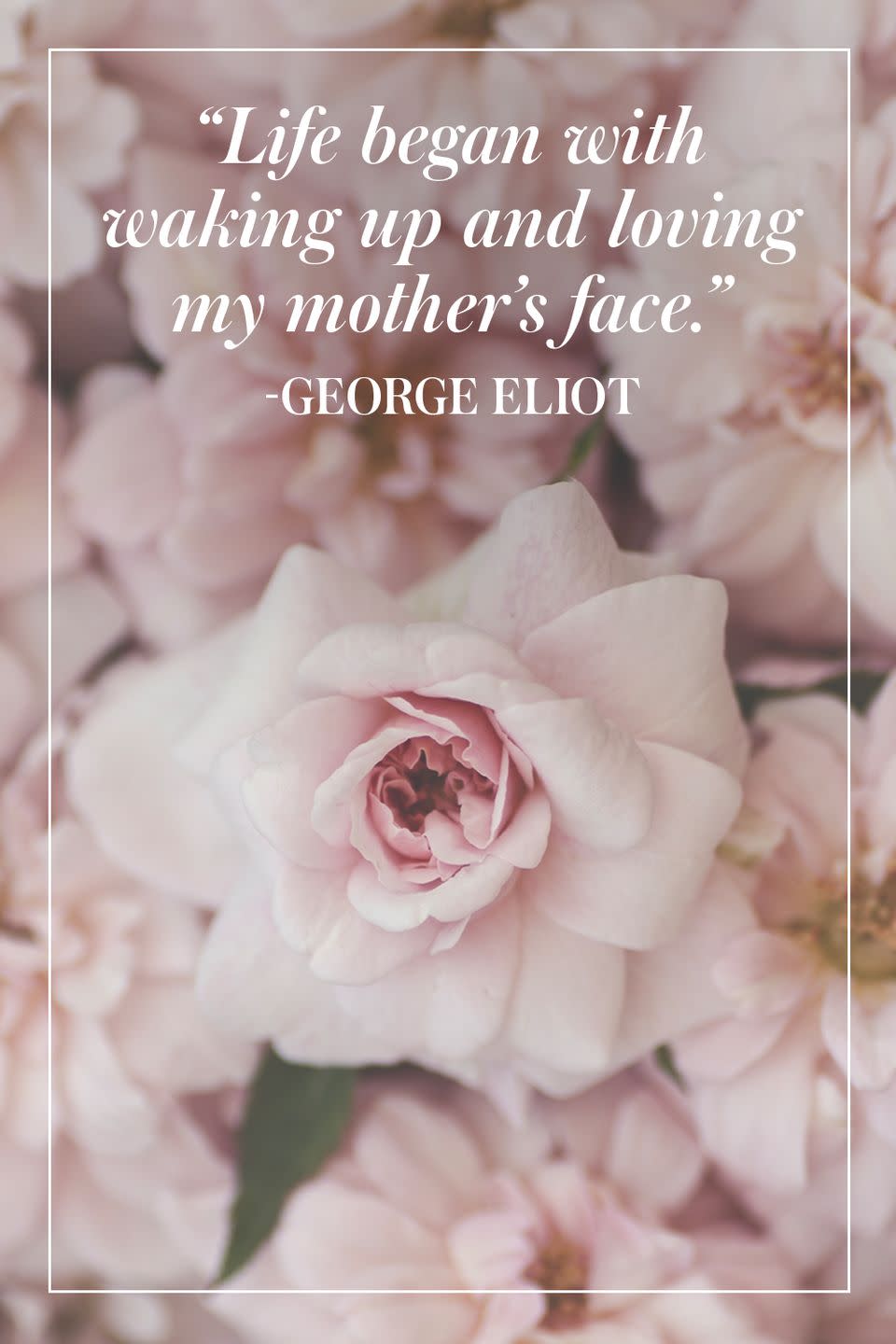 32 Heartfelt Quotes to Pay Tribute to Mothers