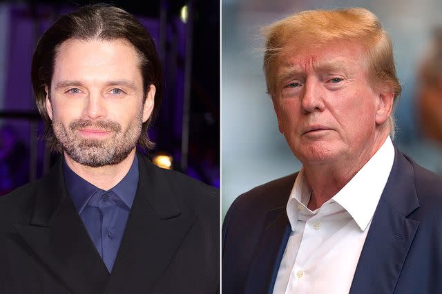 <p>Andreas Rentz/Getty</p> Sebastian Stan; Donald Trump