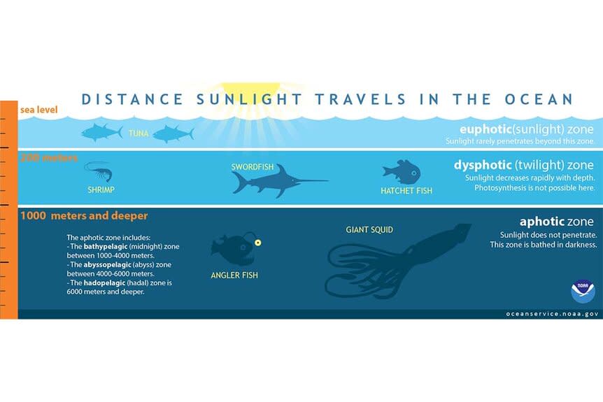 A graphic depicting three zones based on the distance sunlight travels.