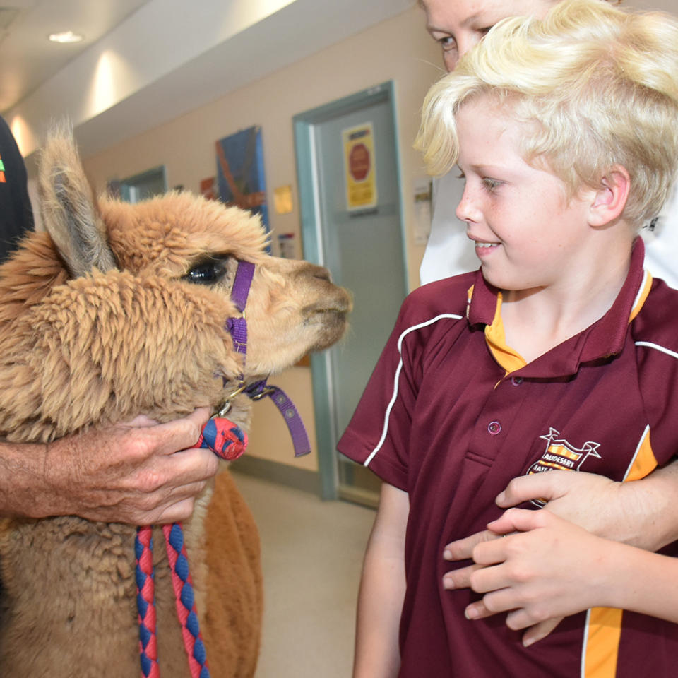 The patients appear to enjoy the company of the unique visitors. Source: Metro South Health