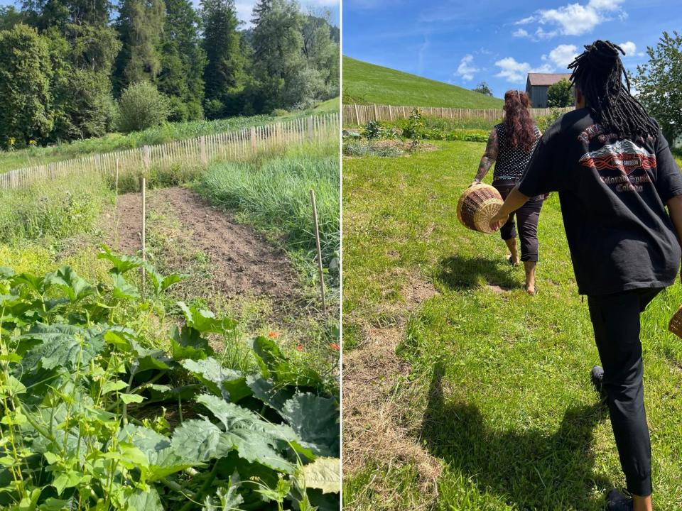 A split image of a tilled green field and two people walking on a green field with woven baskets.