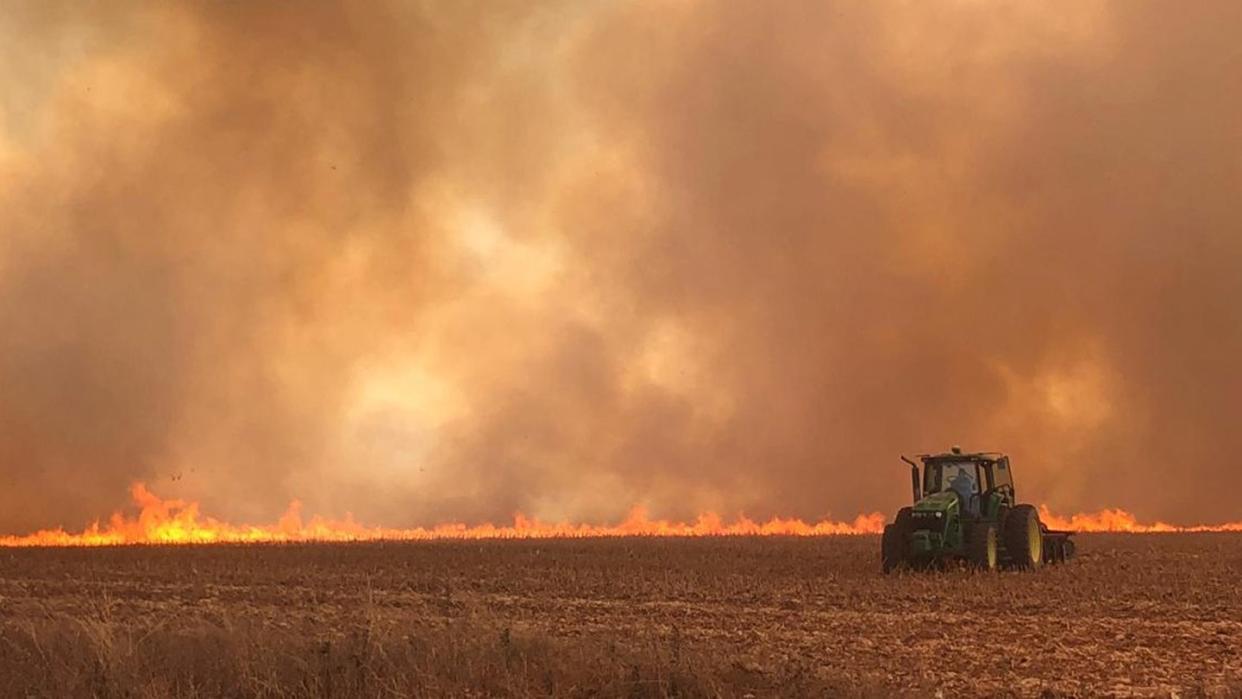 In Brasilien wüten die schwersten Waldbrände seit Jahren. Foto: CBMMT