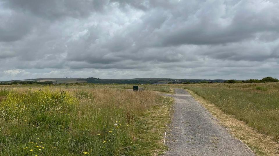 Long grassland with a grey stone path running through it. The sky is very grey.