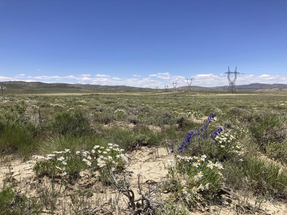 The future route of the TransWest Express transmission line is seen Tuesday, June 20, 2023, south of Rawlins, Wyo. The transmission line will partly parallel the PacifiCorp Gateway West transmission system, seen in the background, moving electricity from a planned 600-turbine wind farm to California. Wyoming is having a wind energy boom that could help alleviate climate change but is raising worries among residents that proliferating wind turbines will spoil views, disturb wildlife and kill birds. (AP Photo/Mead Gruver)