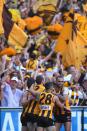 <p>Hawthorn keep piling on the points.</p>