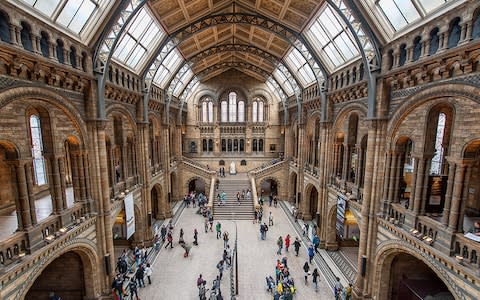 Natural History Museum - Credit: TIM GRIST PHOTOGRAPHY